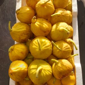 Local figs