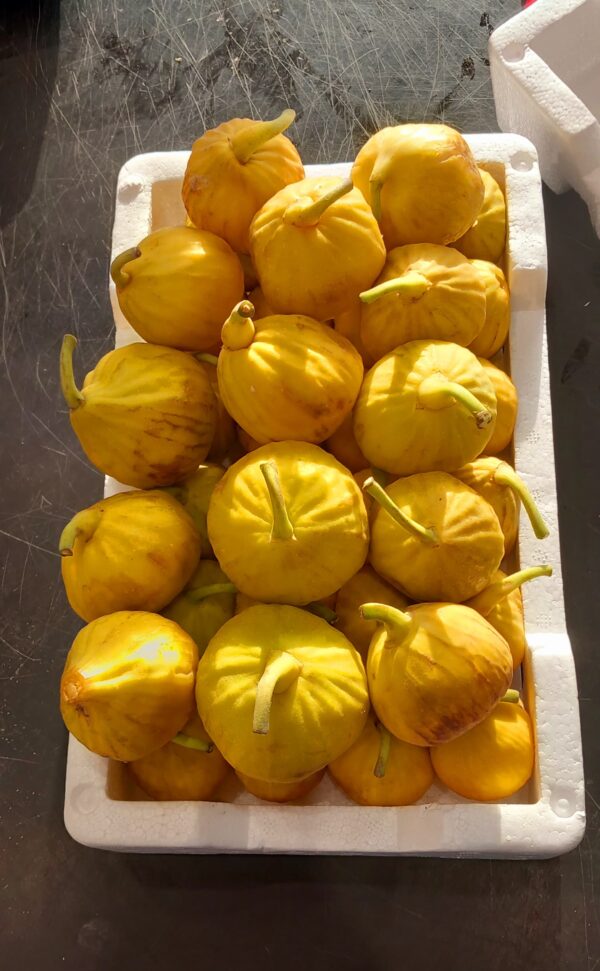 Local figs