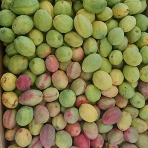 لوز بحريني - Looz Iskandrani