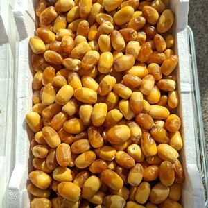 رطب اخلاص سعودي -Rutab Ikhlas Saudi