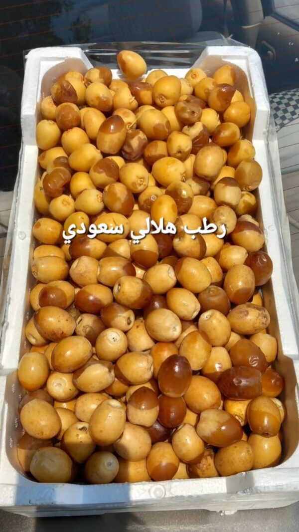 رطب هلالي سعودي -