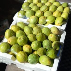 لوز بحريني (Fresh Looz Bahraini)
